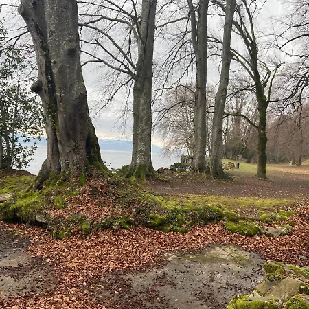 Bord De Lac,2 Superbe Vue 5mn Evian Apartment Lugrin